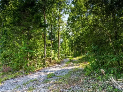 0 Mcelroy Road Readyville TN 37149