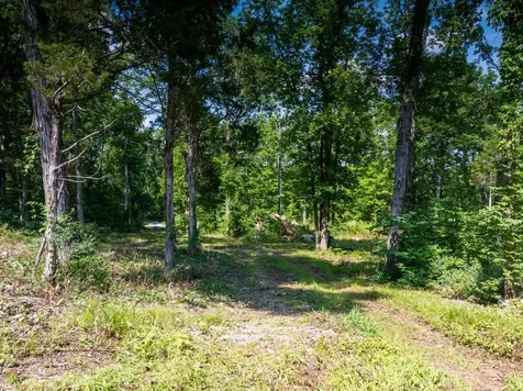 0 Mcelroy Road Readyville TN 37149