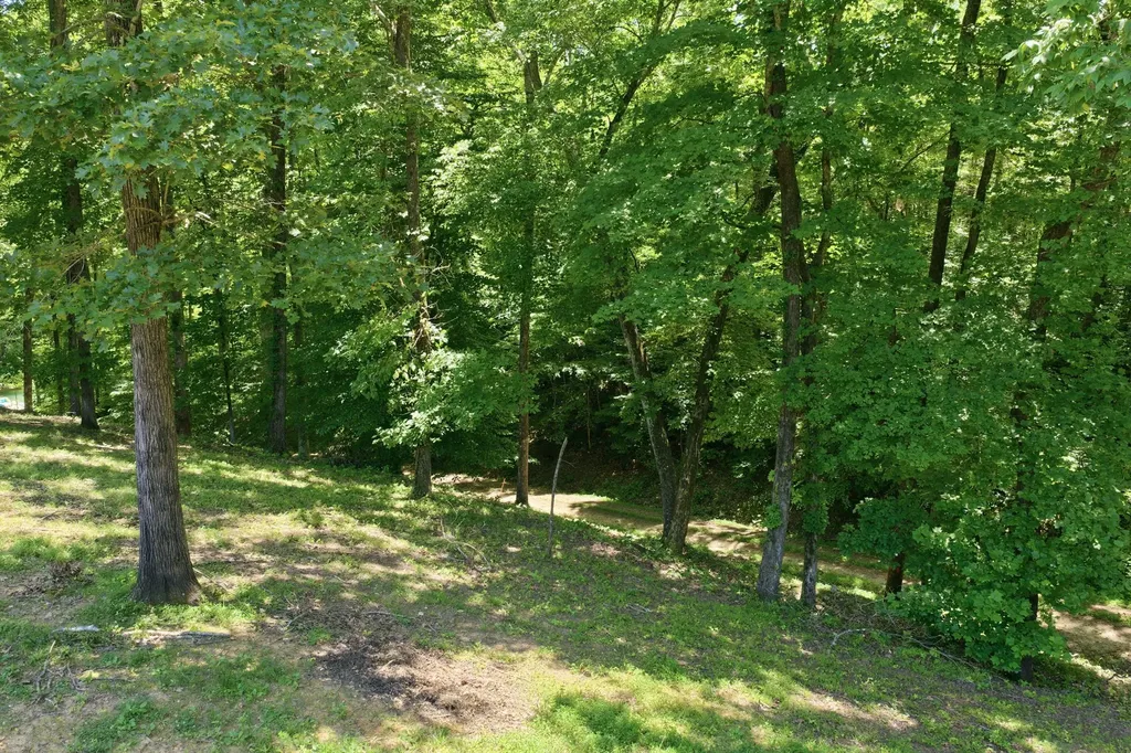 368 Chandler Drive Winchester TN 37398