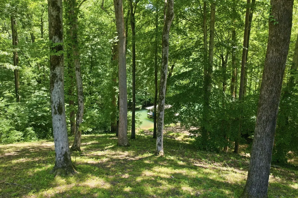 368 Chandler Drive Winchester TN 37398