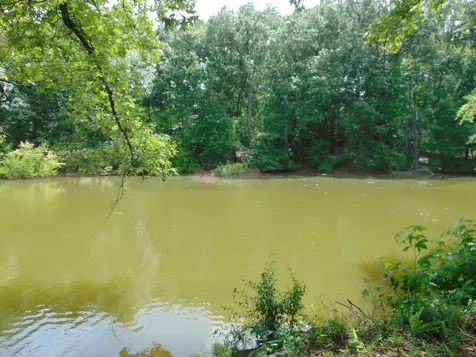 2993 Beech Creek Loop Clifton TN 38425