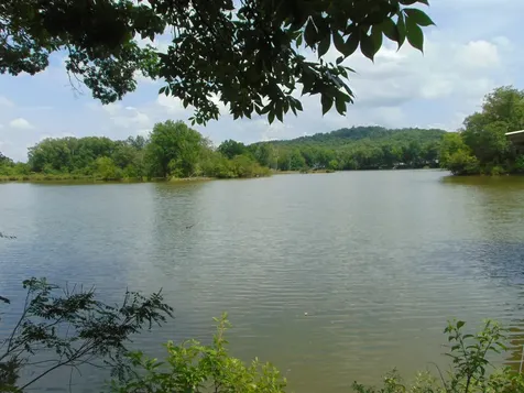 2995 Beech Creek Loop Clifton TN 38425