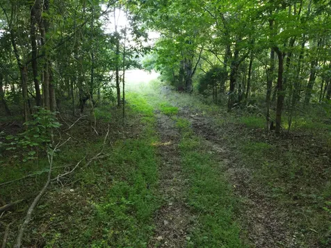 0 Lylewood Road Woodlawn TN 37191