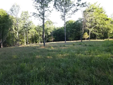 0 Lylewood Road Woodlawn TN 37191