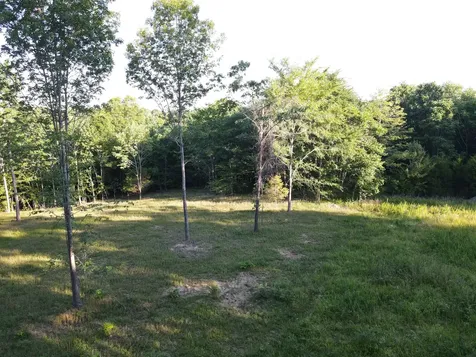 0 Lylewood Road Woodlawn TN 37191