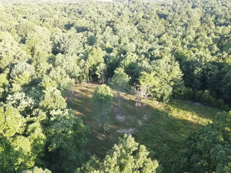 0 Lylewood Road Woodlawn TN 37191