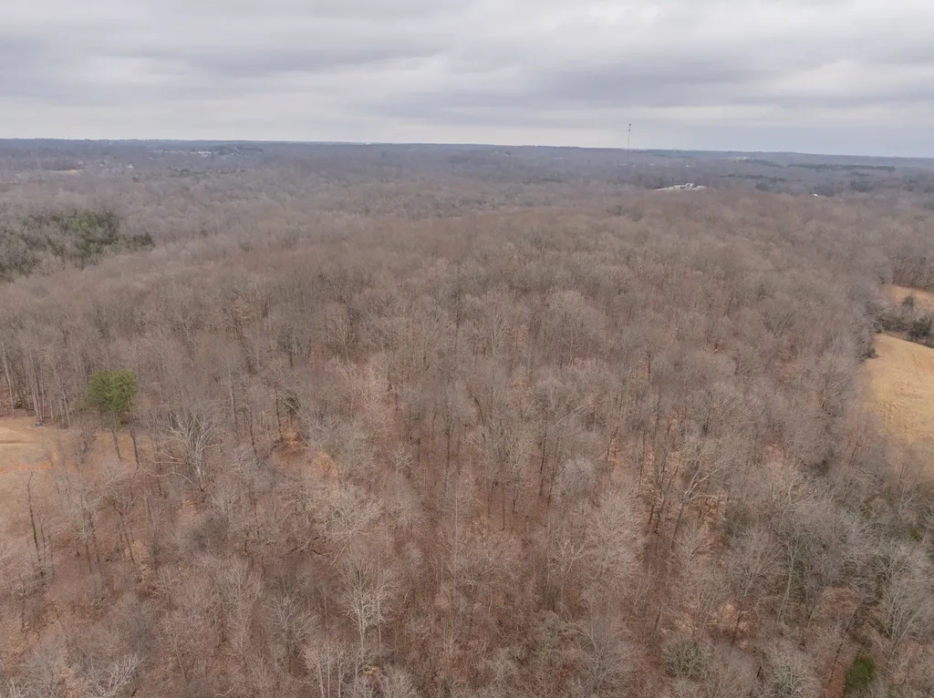 0 Wiley Branch Road Dickson TN 37055