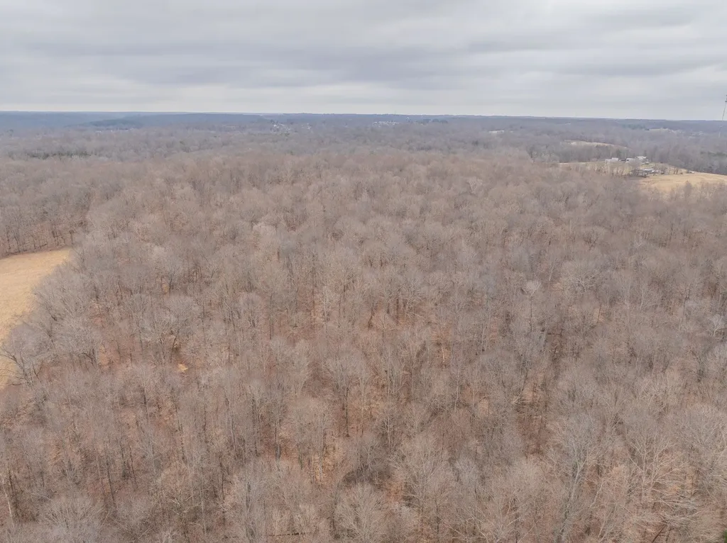 0 Wiley Branch Road Dickson TN 37055