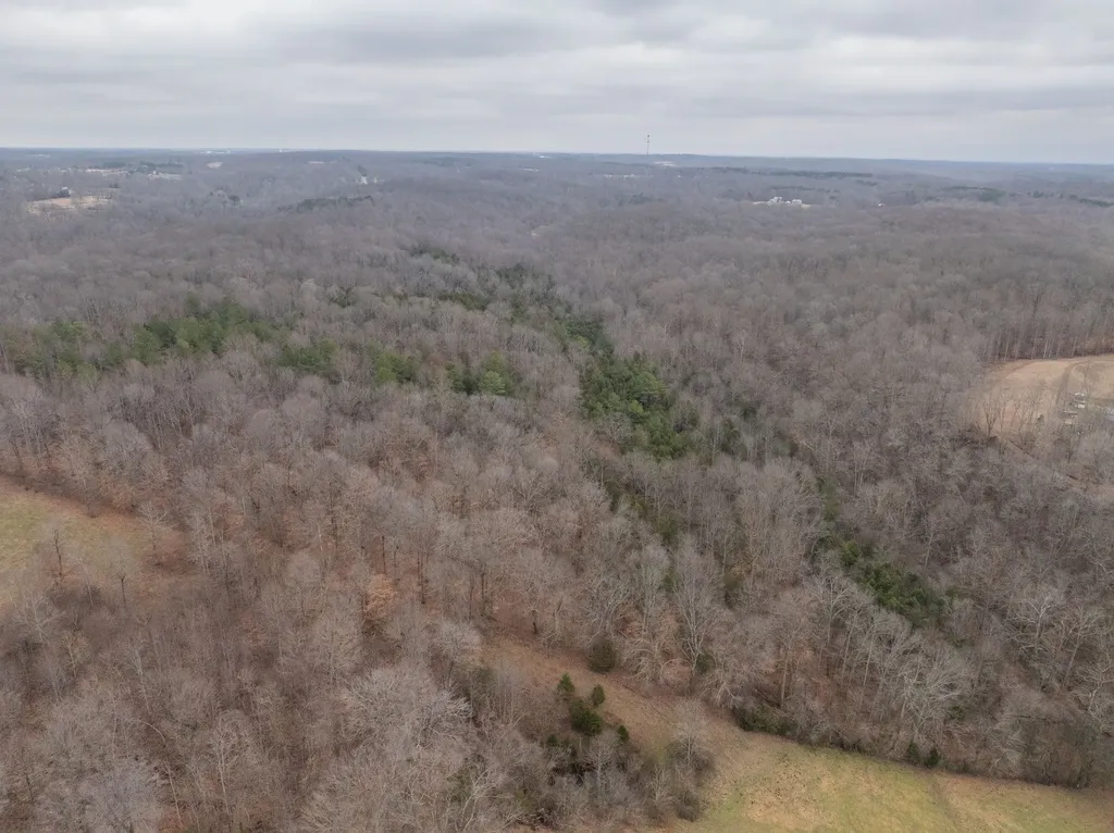 0 Wiley Branch Road Dickson TN 37055