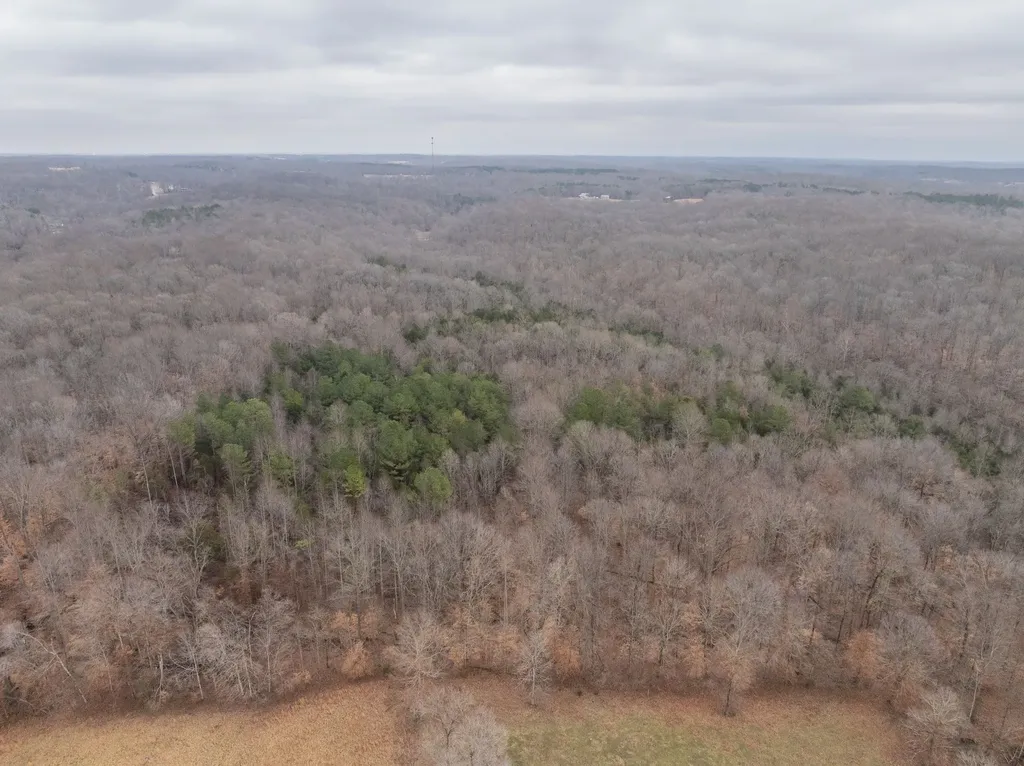 0 Wiley Branch Road Dickson TN 37055