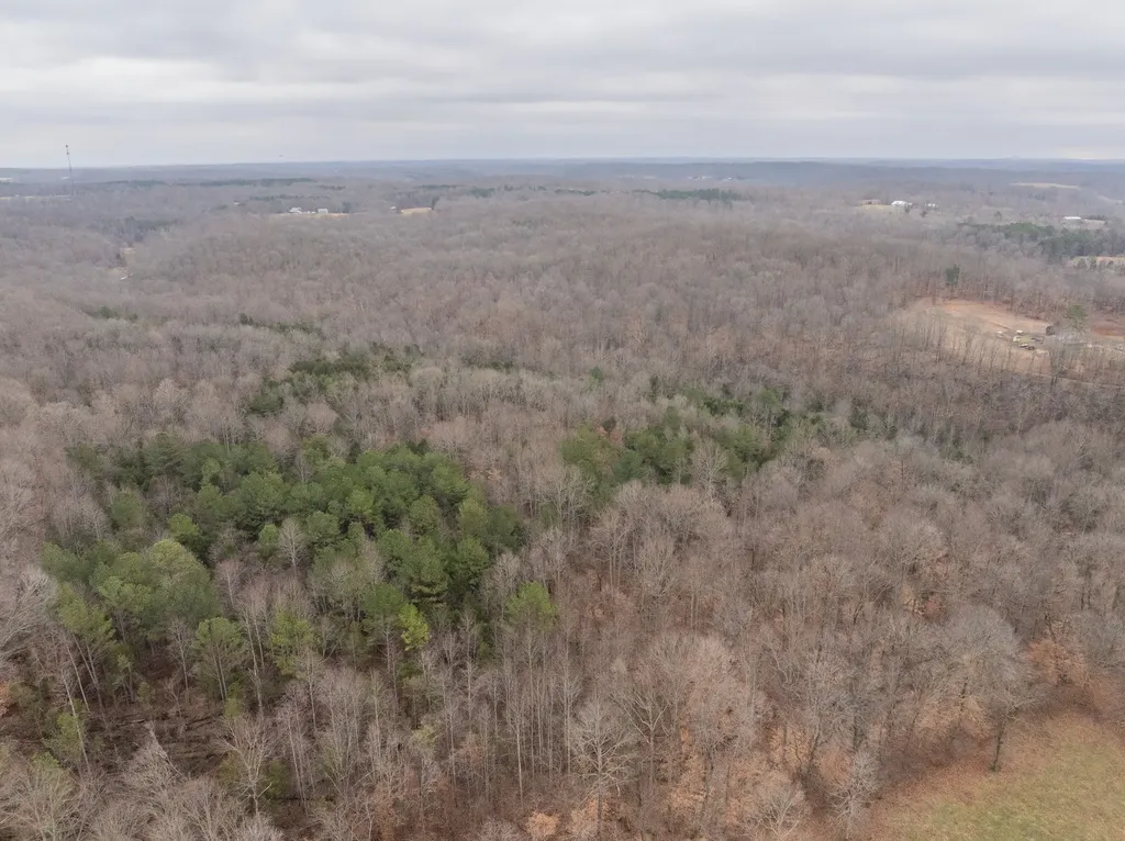 0 Wiley Branch Road Dickson TN 37055