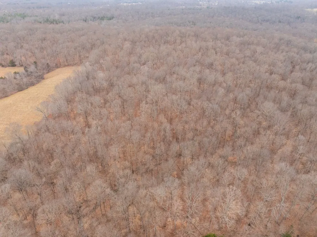 0 Wiley Branch Road Dickson TN 37055