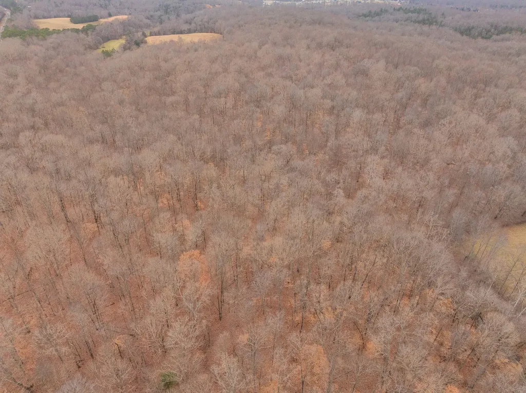 0 Wiley Branch Road Dickson TN 37055