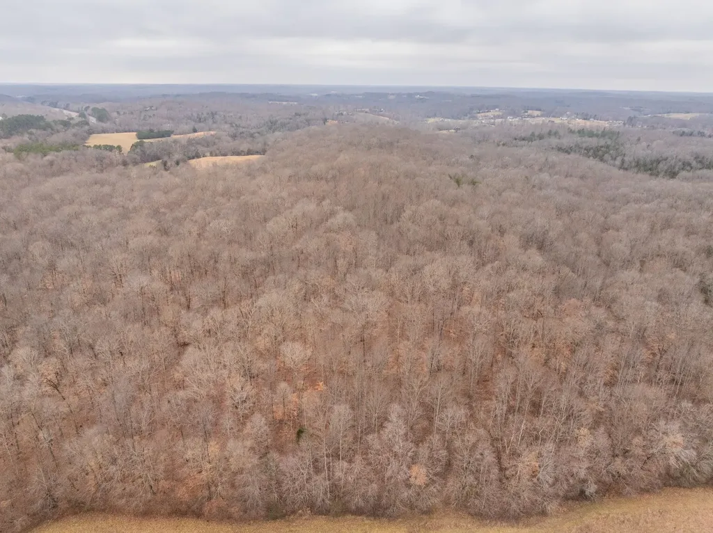 0 Wiley Branch Road Dickson TN 37055