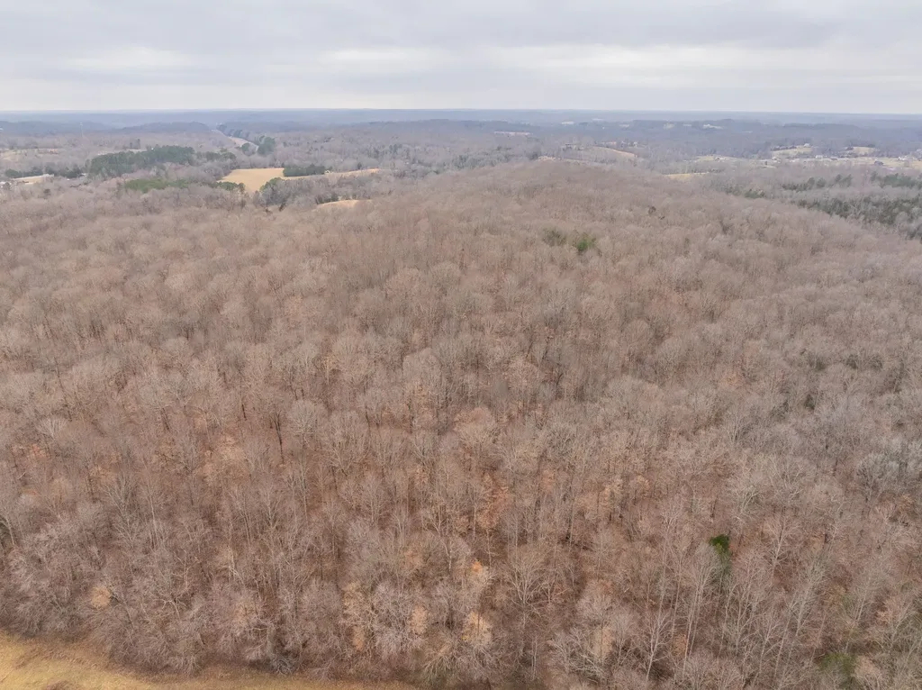 0 Wiley Branch Road Dickson TN 37055