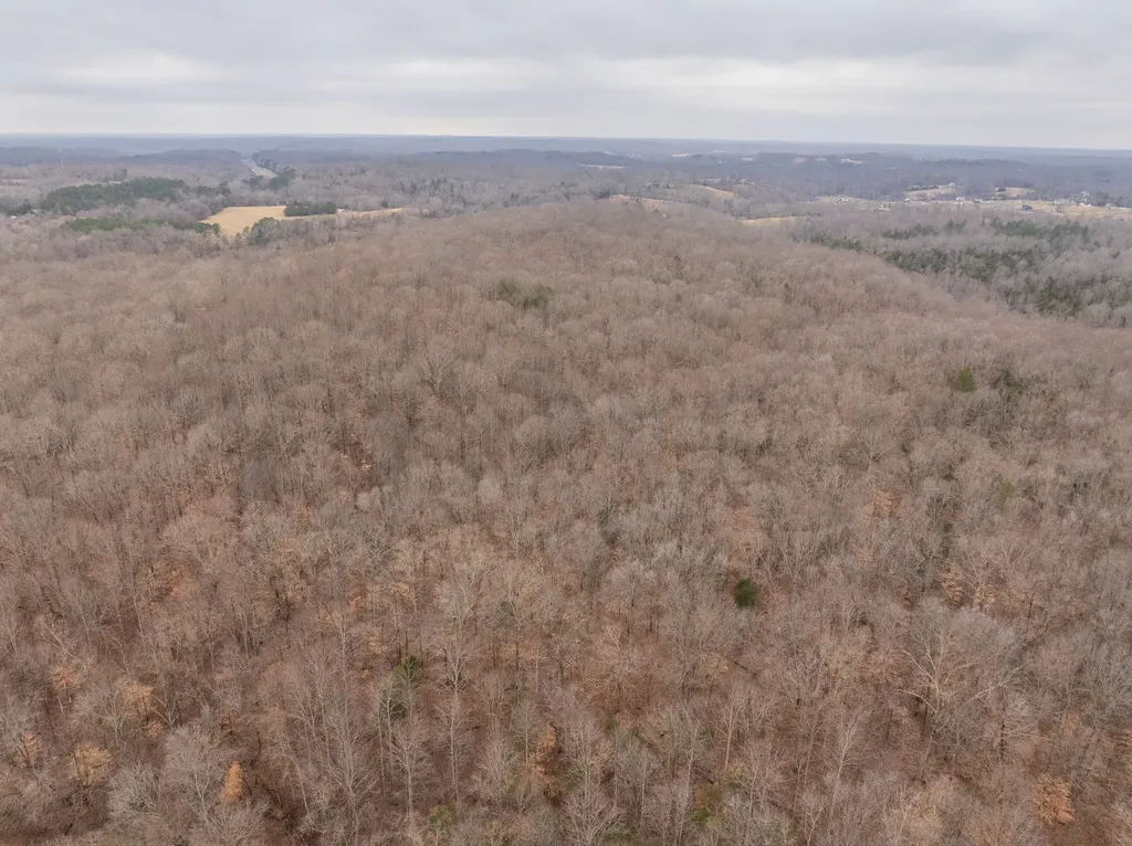 0 Wiley Branch Road Dickson TN 37055