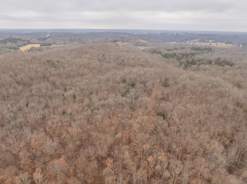 0 Wiley Branch Road Dickson TN 37055