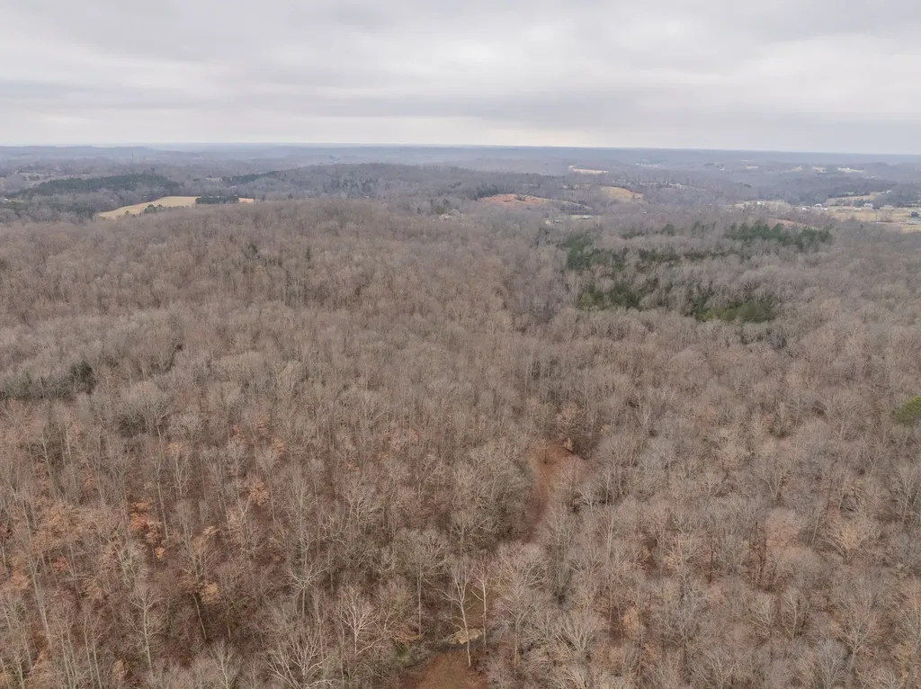 0 Wiley Branch Road Dickson TN 37055