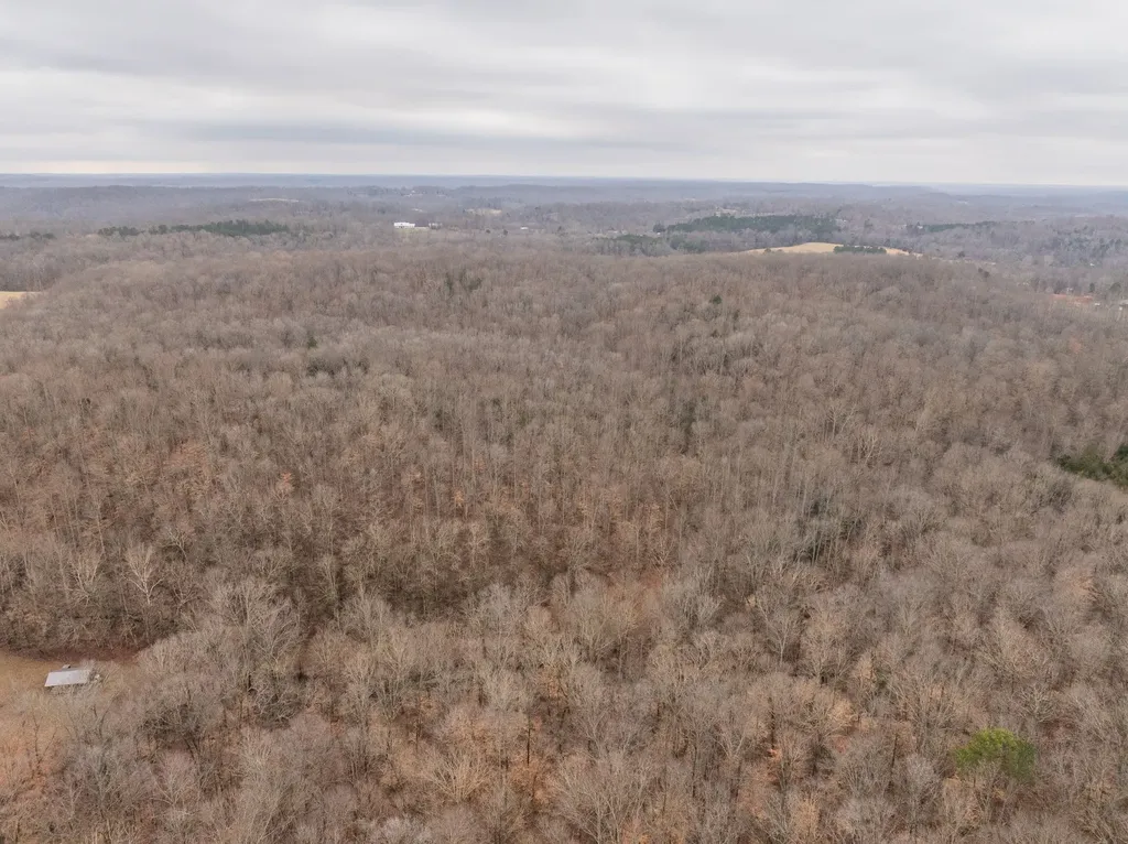0 Wiley Branch Road Dickson TN 37055