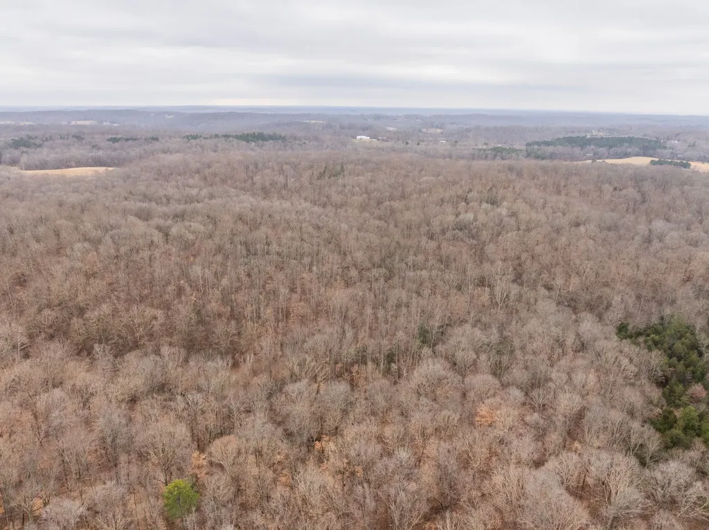 0 Wiley Branch Road Dickson TN 37055