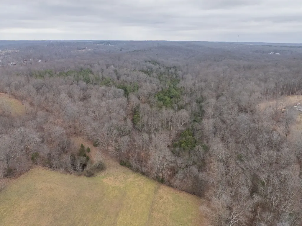 0 Wiley Branch Road Dickson TN 37055