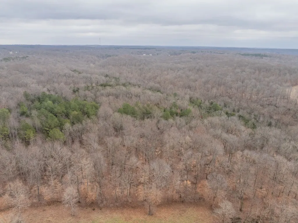 0 Wiley Branch Road Dickson TN 37055