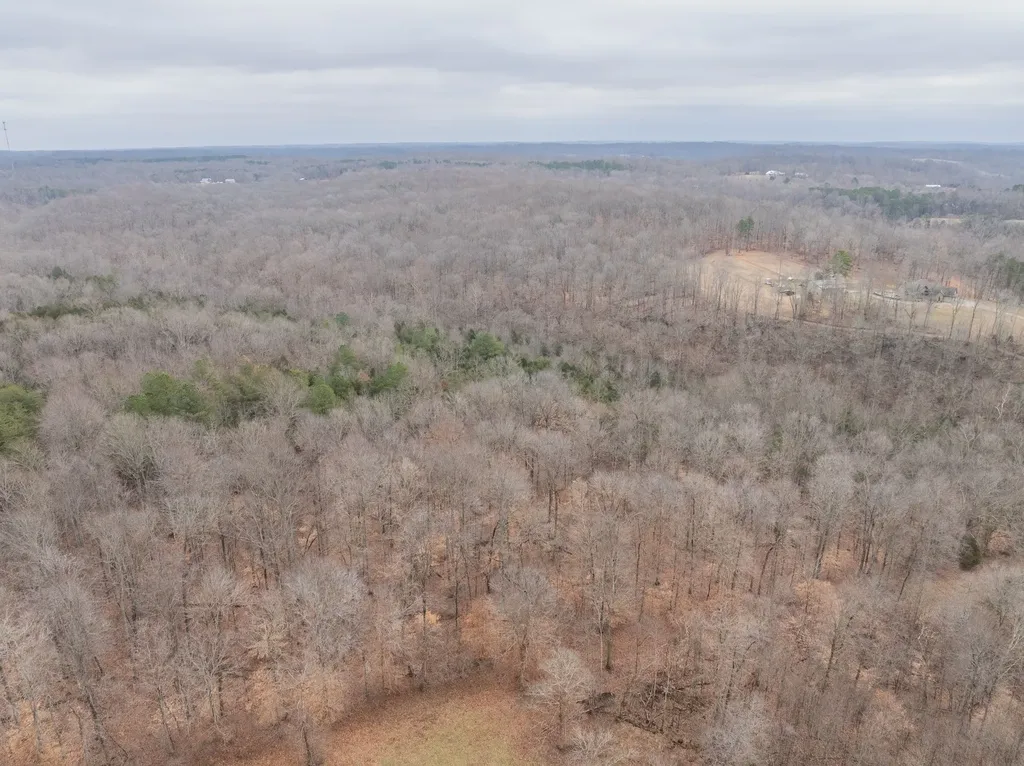 0 Wiley Branch Road Dickson TN 37055