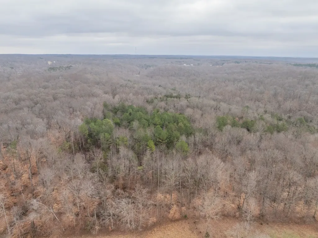 0 Wiley Branch Road Dickson TN 37055