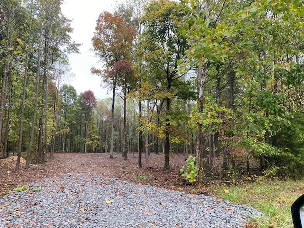 7910 Bill Moss Road White House TN 37188