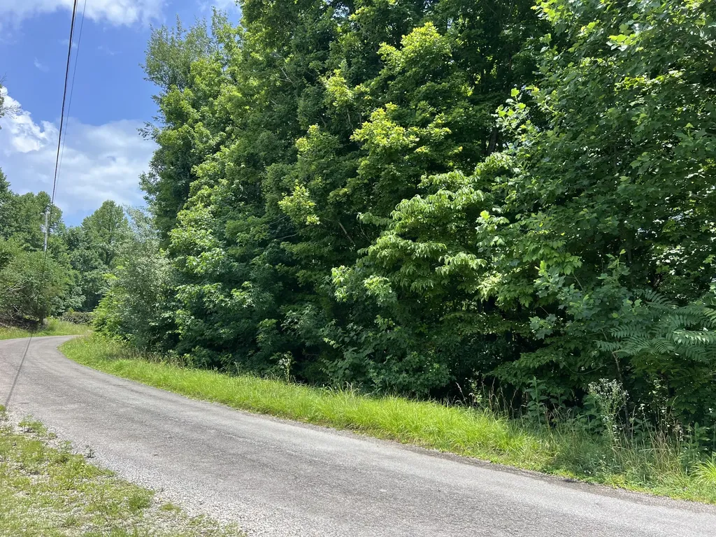 0 Lafever Ridge Road Silver Point TN 38582