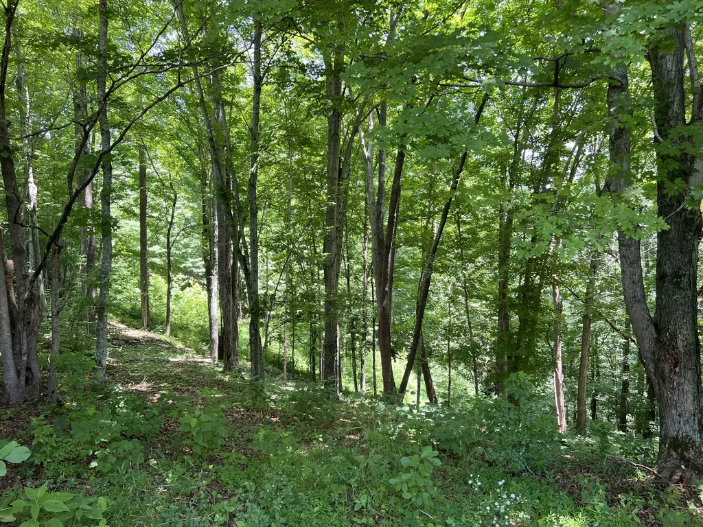 0 Lafever Ridge Road Silver Point TN 38582