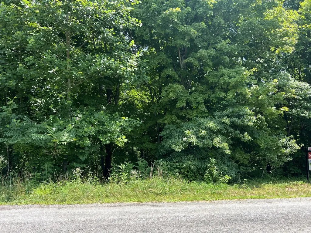 0 Lafever Ridge Road Silver Point TN 38582