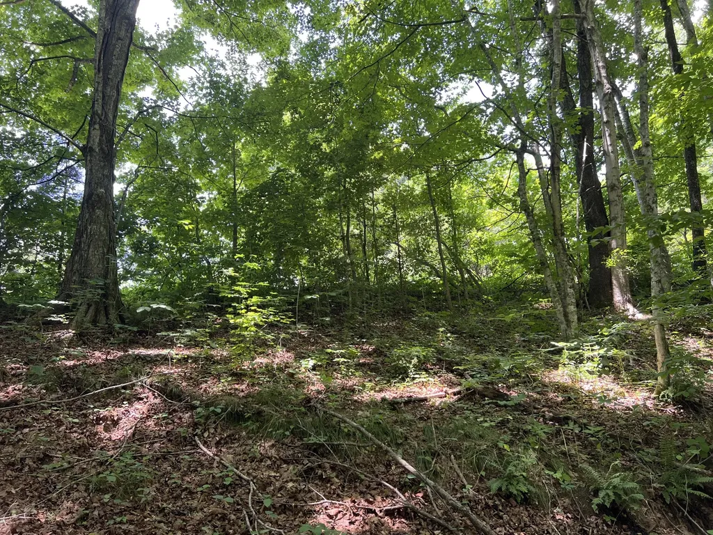0 Lafever Ridge Road Silver Point TN 38582