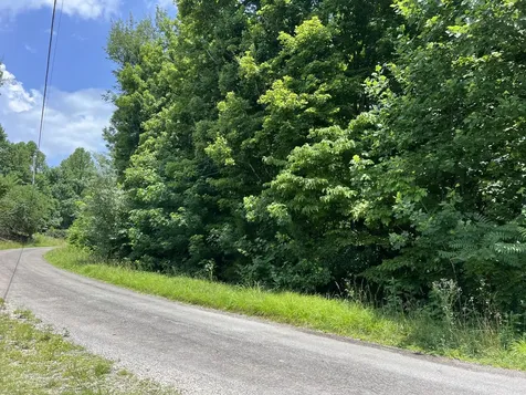 0 Lafever Ridge Road Silver Point TN 38582