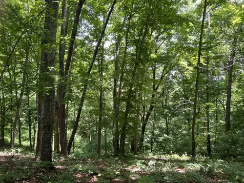 0 Lafever Ridge Road Silver Point TN 38582