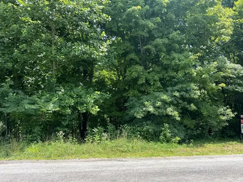 0 Lafever Ridge Road Silver Point TN 38582