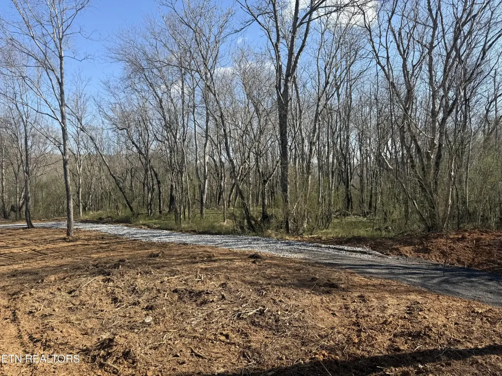 1561 Cane Creek-cummingsville Road Sparta TN 38583