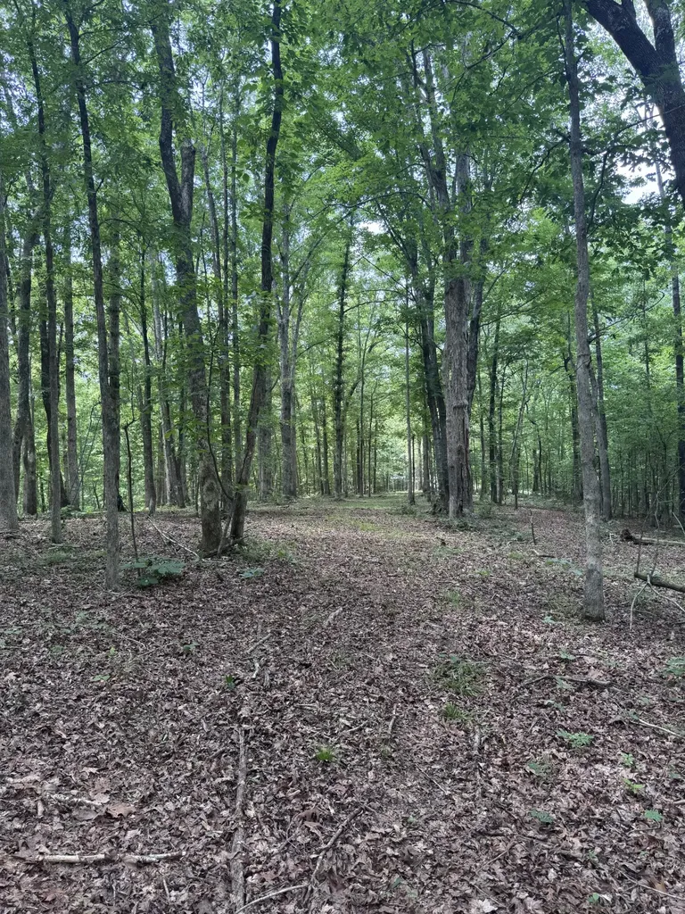 0 Jack Saunders Road Waverly TN 37185