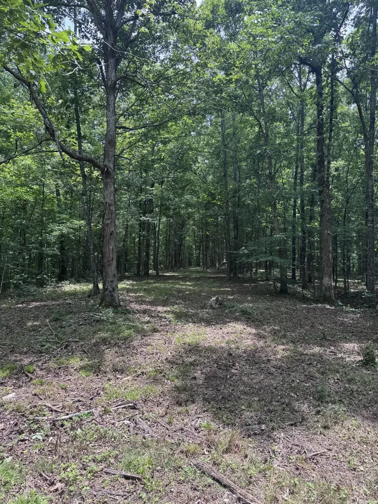 0 Jack Saunders Road Waverly TN 37185