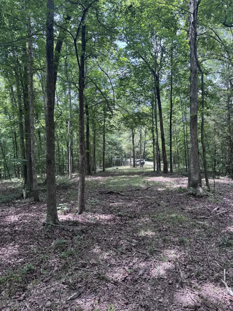 0 Jack Saunders Road Waverly TN 37185