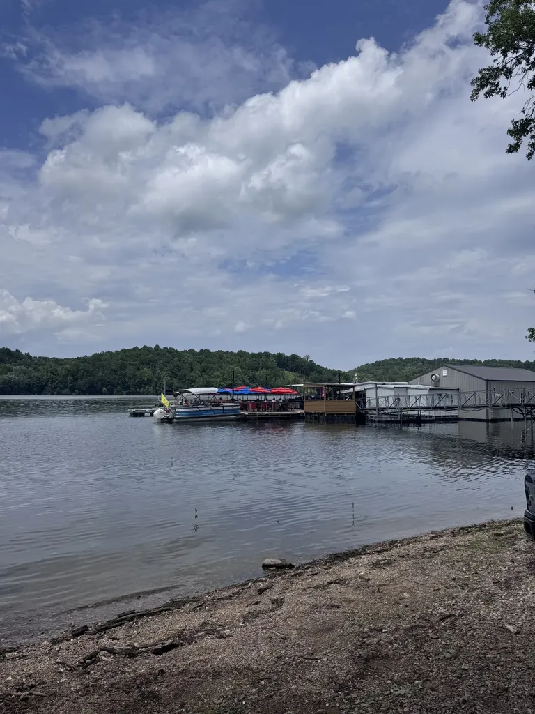 0 Jack Saunders Road Waverly TN 37185