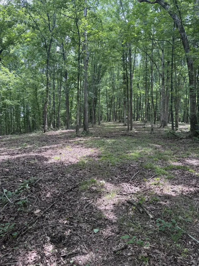 0 Jack Saunders Road Waverly TN 37185