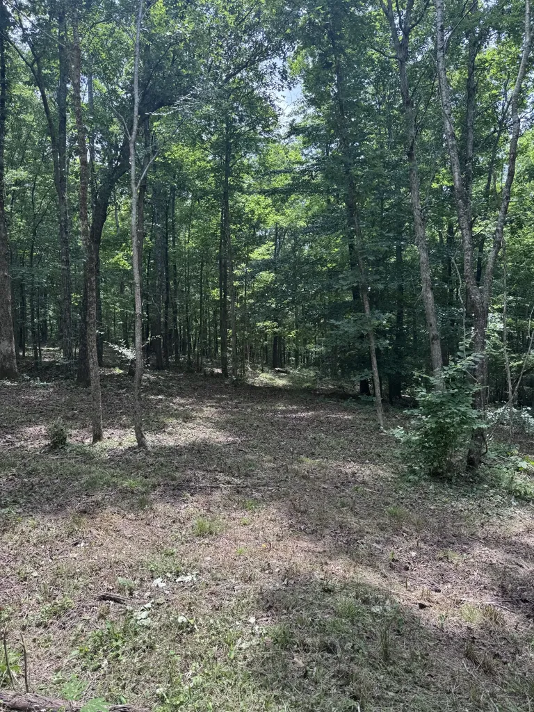 0 Jack Saunders Road Waverly TN 37185