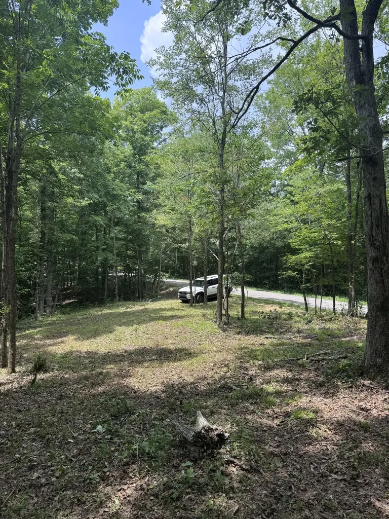 0 Jack Saunders Road Waverly TN 37185