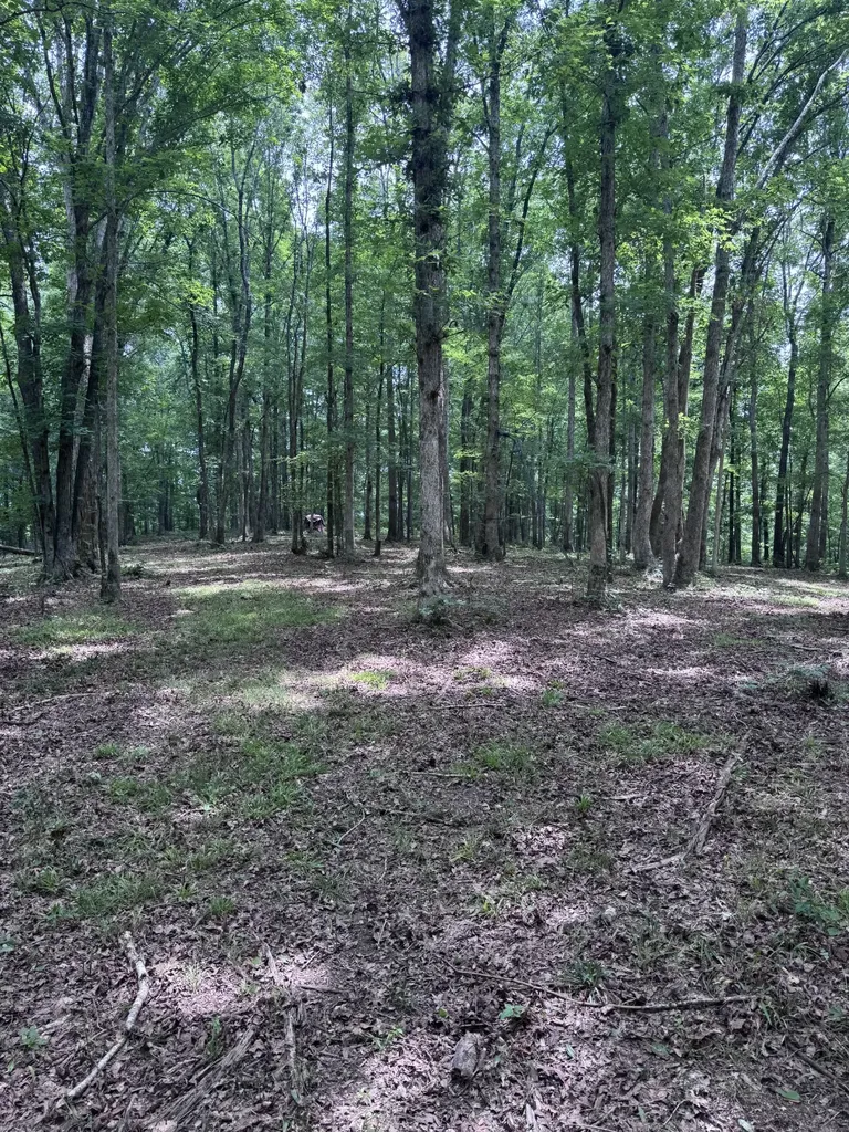 0 Jack Saunders Road Waverly TN 37185