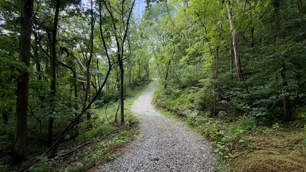 18 E Main Street Dowelltown TN 37059