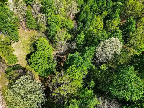 7850 W Lick Creek Road Primm Springs TN 38476