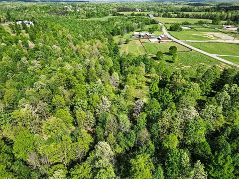 7850 W Lick Creek Road Primm Springs TN 38476