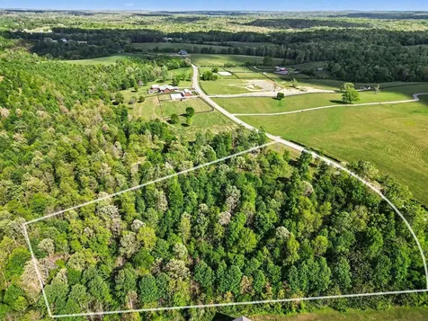 7850 W Lick Creek Road Primm Springs TN 38476