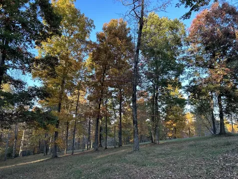 7850 W Lick Creek Road Primm Springs TN 38476